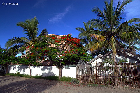 041225-0887.jpg