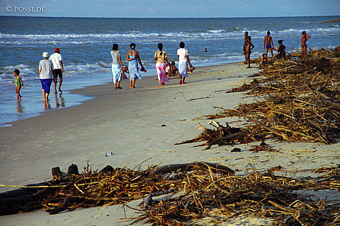 041225-0919.jpg
