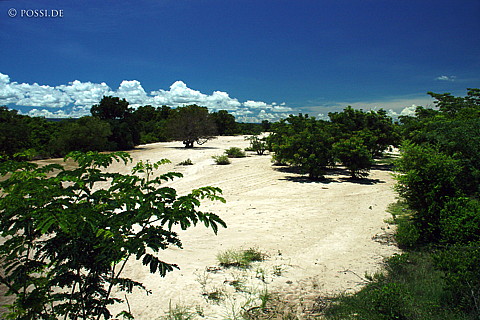 041226-0935.jpg