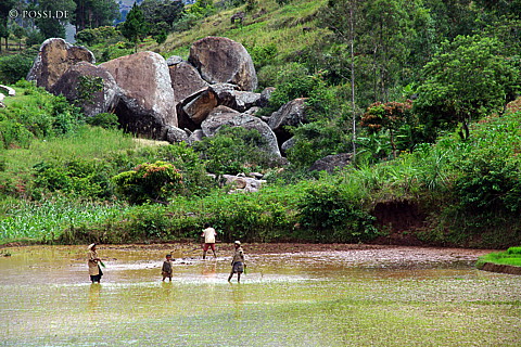 041227-0999.jpg