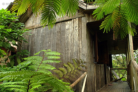 041228-1041.jpg