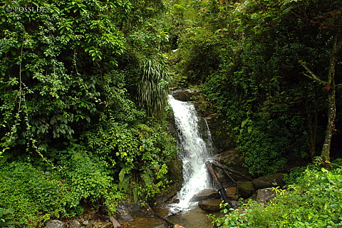 041228-1043.jpg