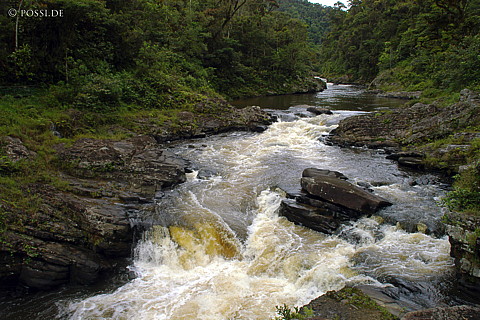 041228-1054.jpg