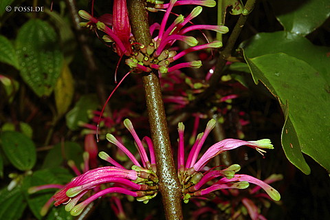 041228-1056.jpg