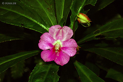 041228-1063.jpg