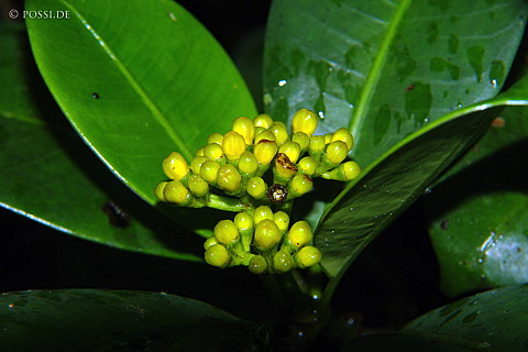 041228-1068.jpg