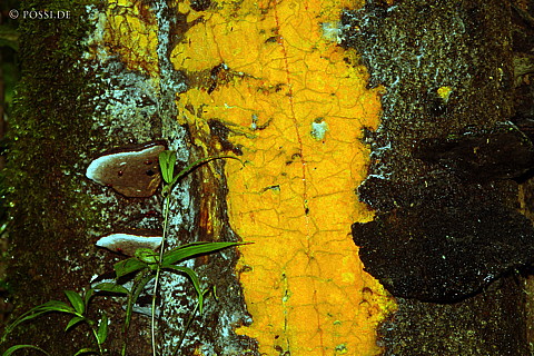 041228-1073.jpg