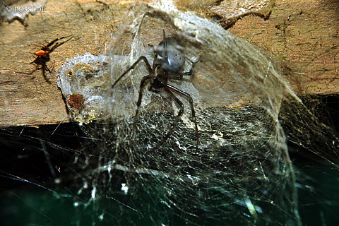 041228-1079.jpg