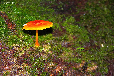 041228-1081.jpg