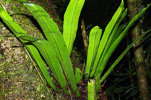 041228-1082.jpg