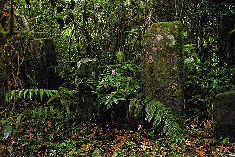 041228-1089.jpg