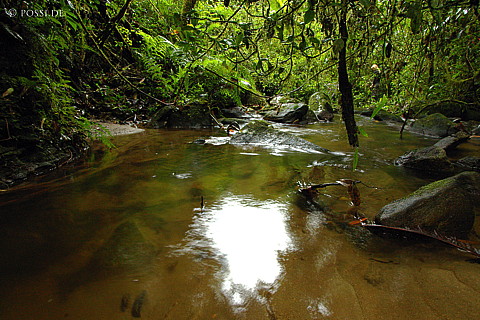 041228-1108.jpg