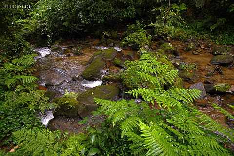 041228-1112.jpg