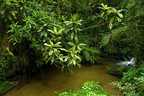 041228-1118.jpg
