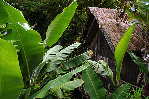 041228-1140.jpg