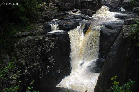 041229-1179.jpg