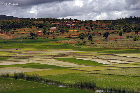 041229-1192.jpg