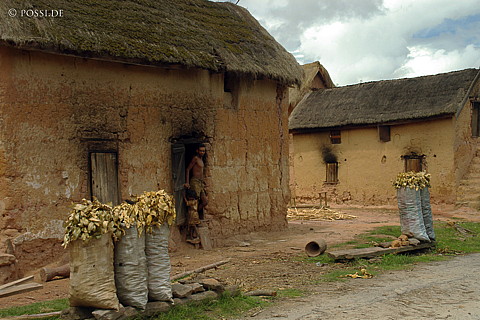 041229-1194.jpg