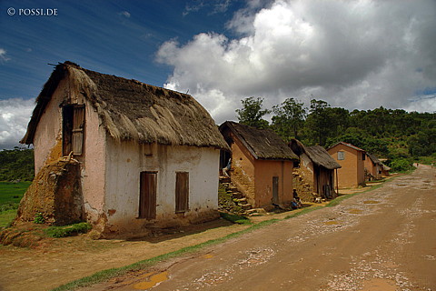 041229-1196.jpg