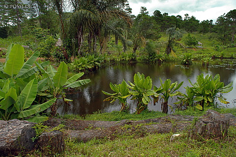 041229-1207.jpg