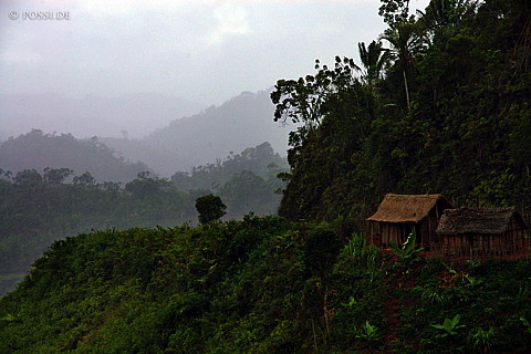 041229-1208.jpg