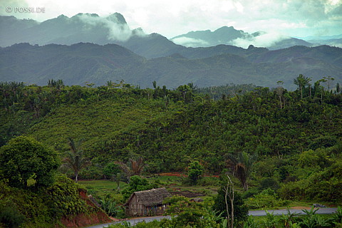 041229-1209.jpg