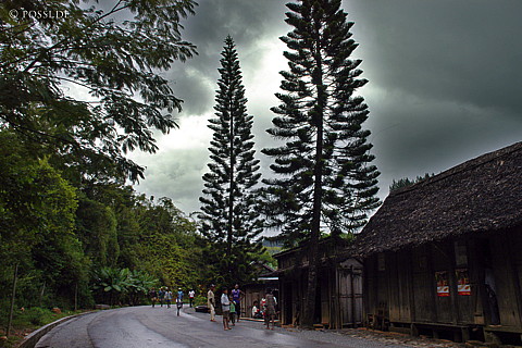 041229-1212.jpg