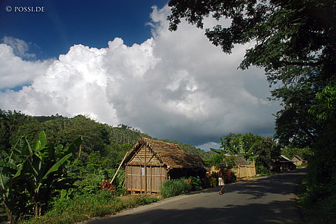 041229-1223.jpg
