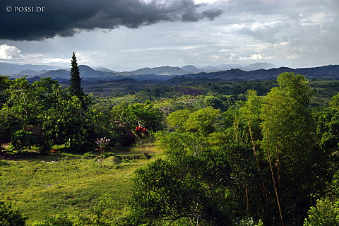 041229-1230.jpg