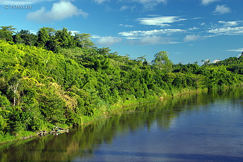 041229-1237.jpg