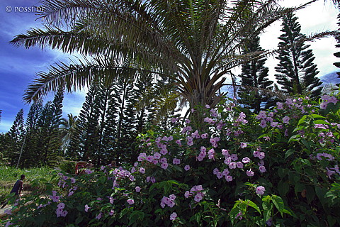 041230-1277.jpg