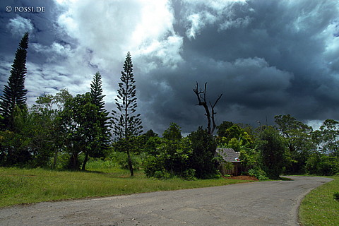 041230-1314.jpg