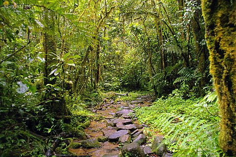 041231-1328.jpg