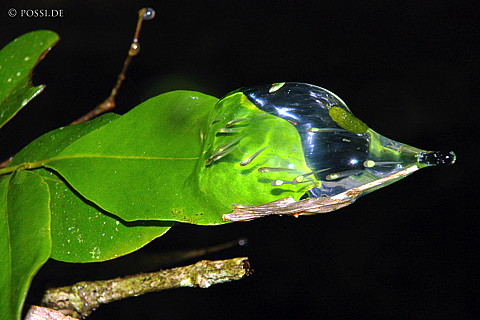 041231-1331.jpg