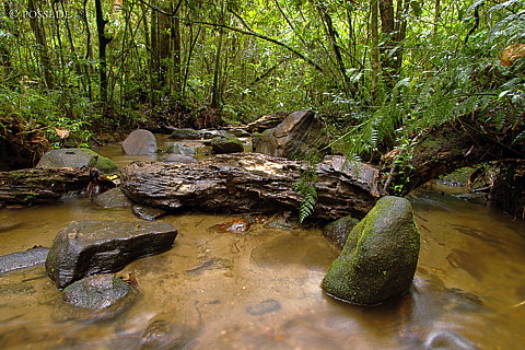 041231-1336.jpg