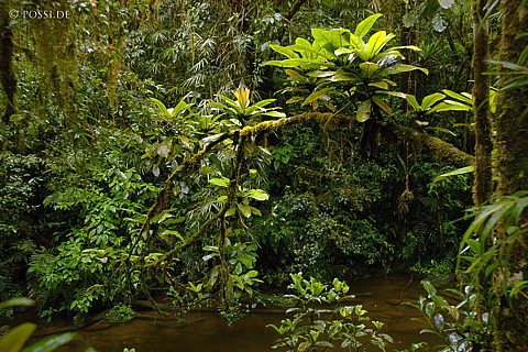 041231-1361.jpg