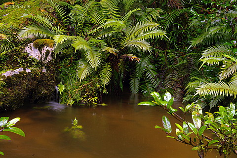 041231-1373.jpg
