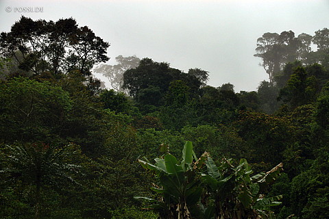 041231-1374.jpg