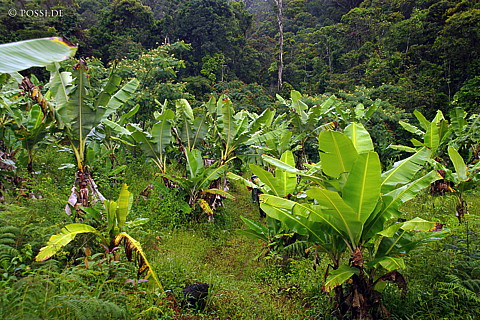 041231-1375.jpg