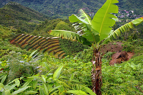 041231-1378.jpg