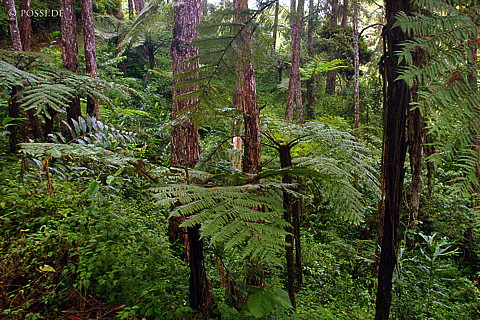 041231-1384.jpg