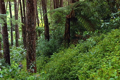 041231-1385.jpg
