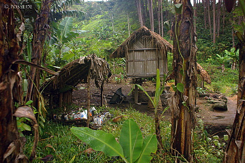 041231-1387.jpg
