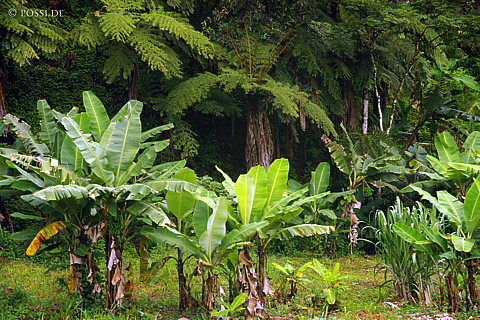 041231-1389.jpg