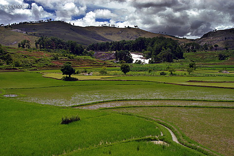 050102-1414.jpg