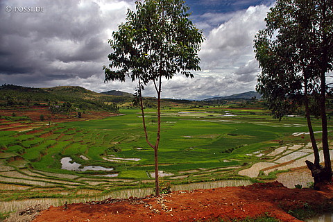 050102-1421.jpg