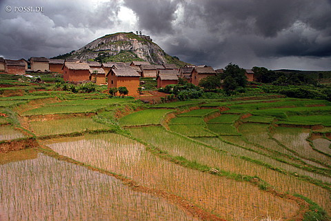 050102-1422.jpg