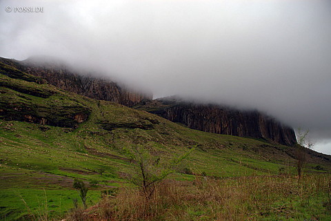 050102-1439.jpg