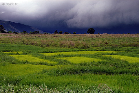 050102-1441.jpg