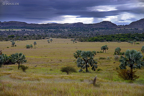 050102-1451.jpg